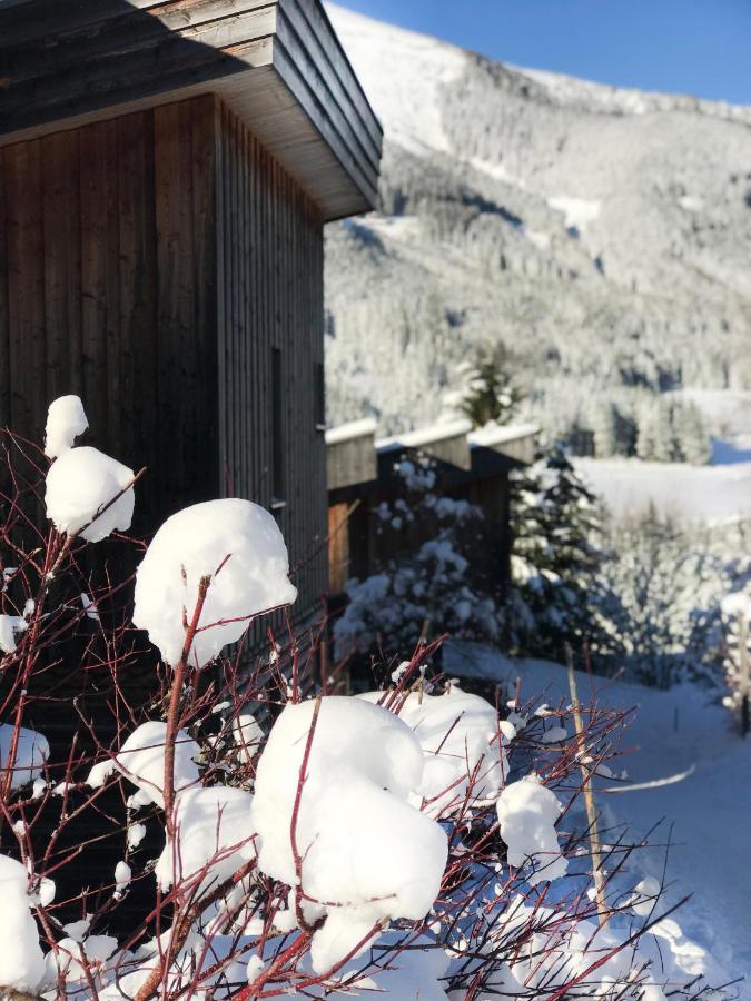 Chalet Sternwarte Гогентауерн Екстер'єр фото